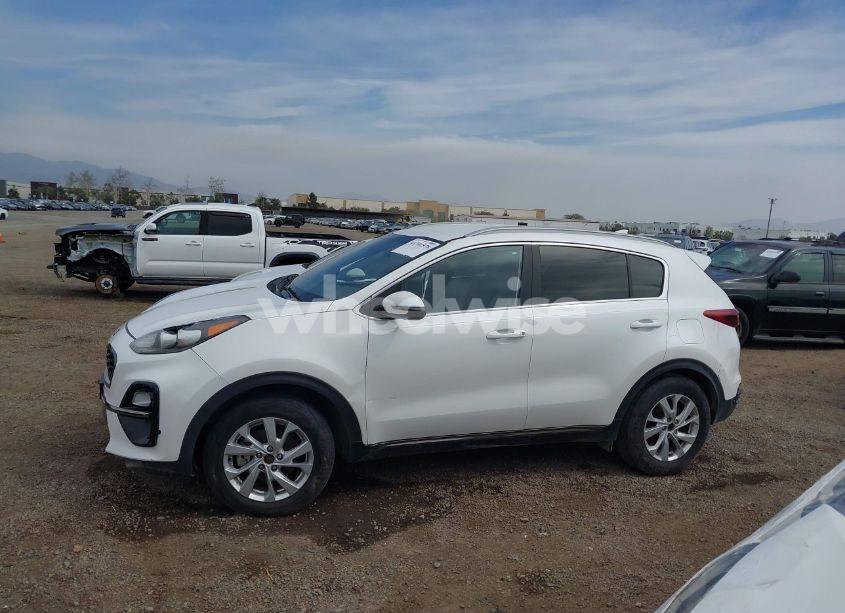 Photo 13 of 2021 Kia Sportage S (VIN KNDP63AC2M7926839)