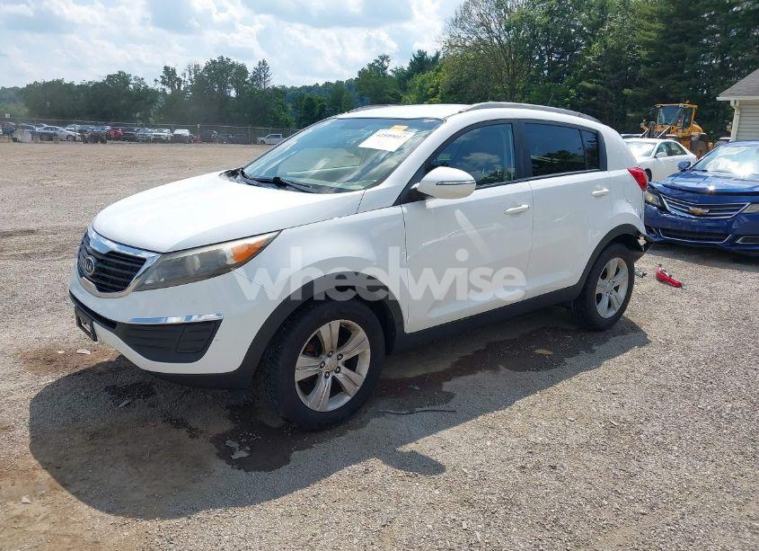 Photo 2 of 2011 Kia Sportage LX (VIN KNDPB3A20B7119655)