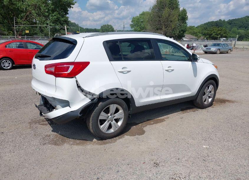 Photo 4 of 2011 Kia Sportage LX (VIN KNDPB3A20B7119655)
