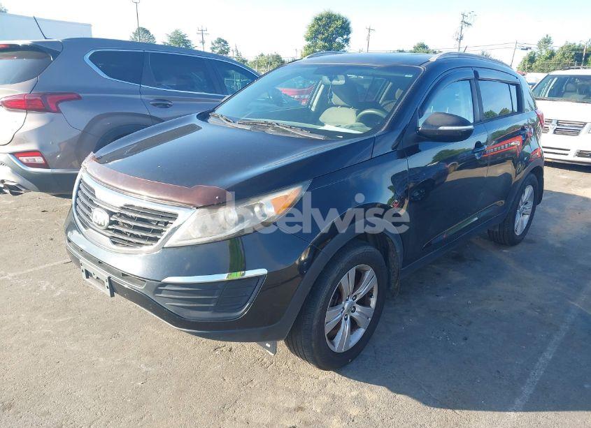 Photo 2 of 2013 Kia Sportage LX (VIN KNDPB3A21D7393000)