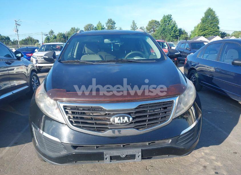 Photo 6 of 2013 Kia Sportage LX (VIN KNDPB3A21D7393000)