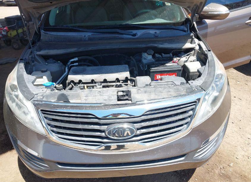 Photo 10 of 2011 Kia Sportage LX (VIN KNDPB3A23B7172513)