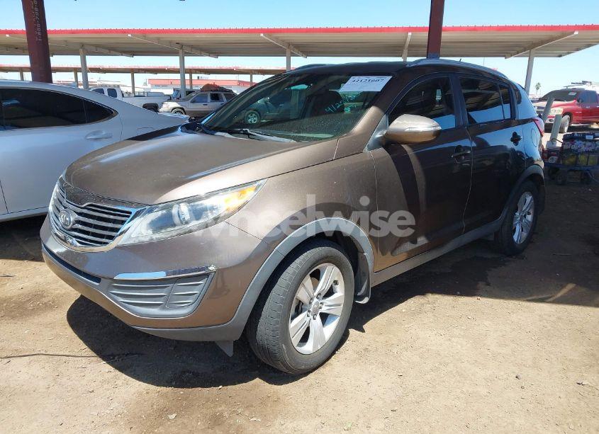 Photo 2 of 2011 Kia Sportage LX (VIN KNDPB3A23B7172513)