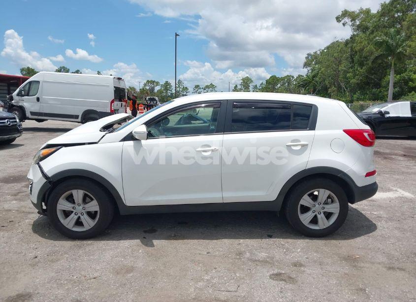 Photo 14 of 2013 Kia Sportage LX (VIN KNDPB3A23D7391619)