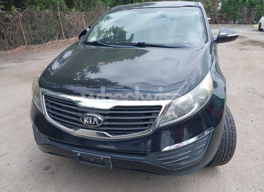 Photo 6 of 2013 Kia Sportage LX (VIN KNDPB3A23D7507272)