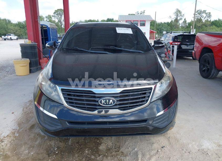 Photo 12 of 2012 Kia Sportage LX (VIN KNDPB3A25C7318539)