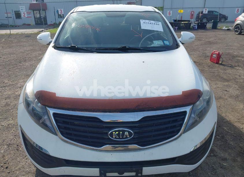 Photo 12 of 2011 Kia Sportage LX (VIN KNDPB3A26B7085933)
