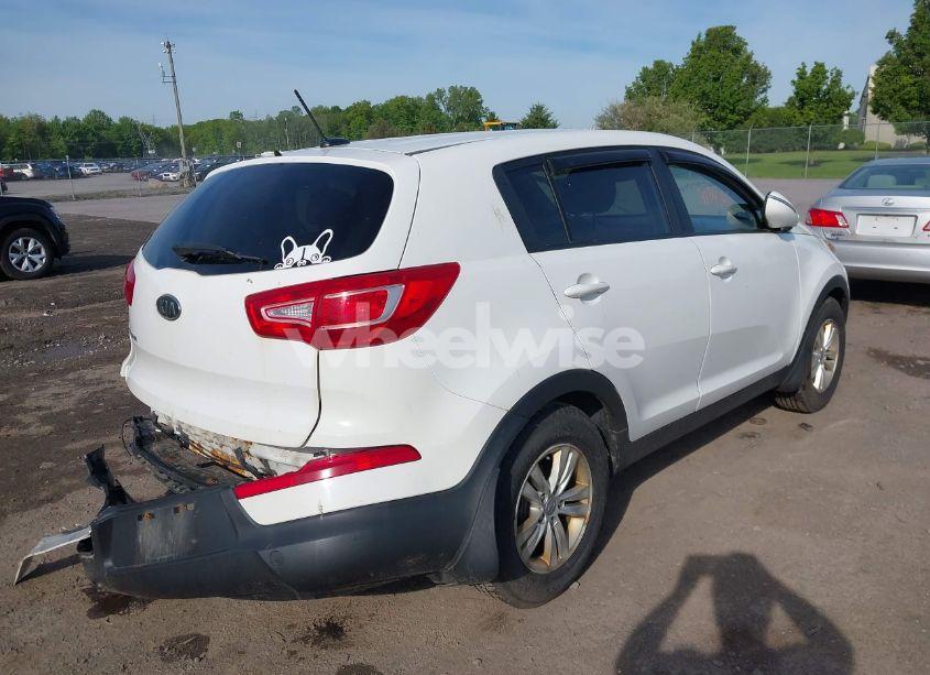 Photo 4 of 2011 Kia Sportage LX (VIN KNDPB3A26B7085933)