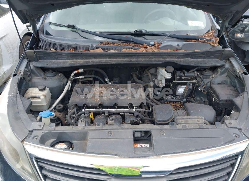 Photo 10 of 2013 Kia Sportage LX (VIN KNDPB3A26D7412382)