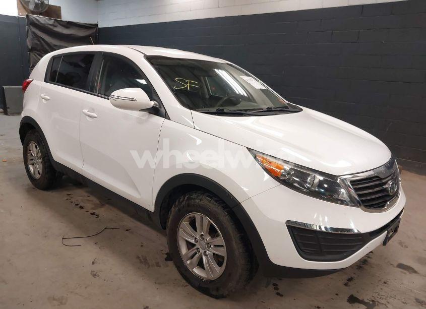 2011 Kia Sportage LX (VIN KNDPB3A28B7061164) main photo