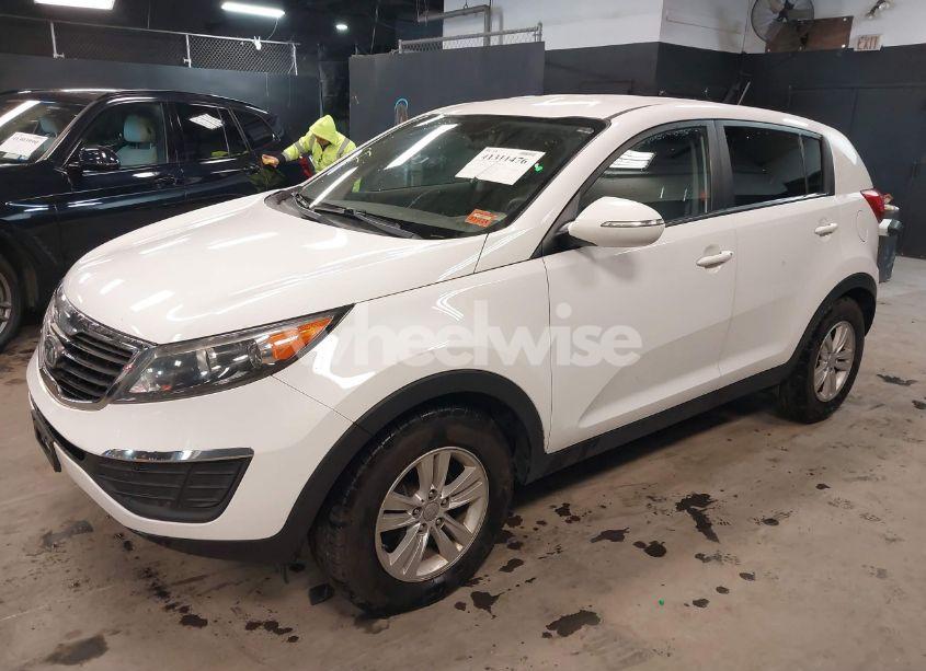 Photo 2 of 2011 Kia Sportage LX (VIN KNDPB3A28B7061164)