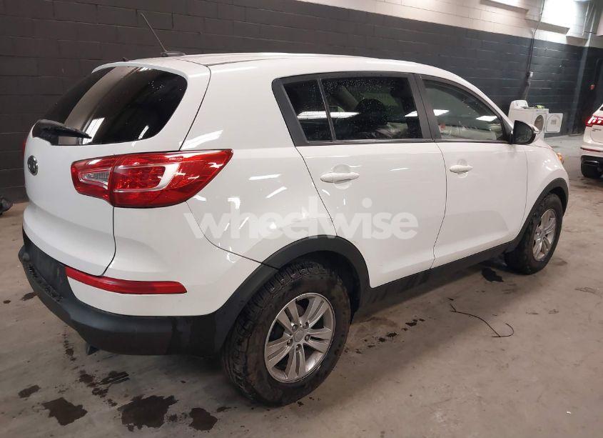 Photo 4 of 2011 Kia Sportage LX (VIN KNDPB3A28B7061164)