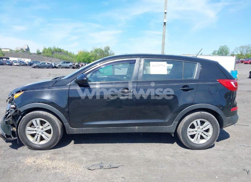 Photo 14 of 2012 Kia Sportage LX (VIN KNDPB3A28C7187185)