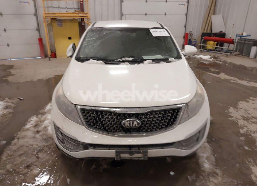 Photo 11 of 2016 Kia Sportage LX (VIN KNDPB3AC2G7846117)