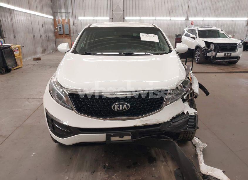 Photo 13 of 2014 Kia Sportage LX (VIN KNDPB3AC4E7620951)