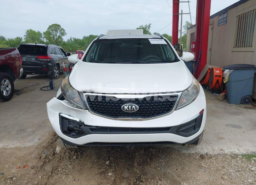Photo 12 of 2016 Kia Sportage LX (VIN KNDPB3AC4G7802085)