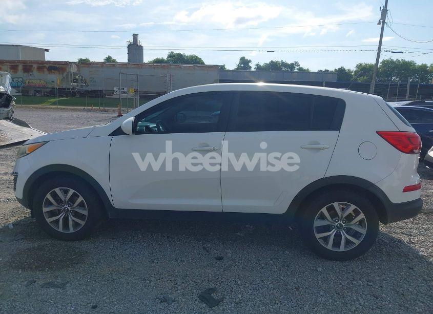 Photo 14 of 2016 Kia Sportage LX (VIN KNDPB3AC4G7811594)