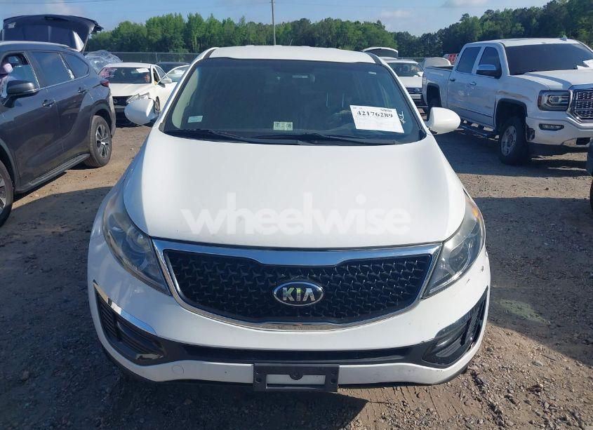 Photo 12 of 2016 Kia Sportage LX (VIN KNDPB3AC4G7837581)