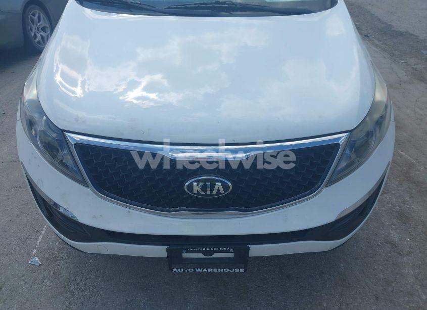 Photo 14 of 2015 Kia Sportage LX (VIN KNDPB3AC5F7781360)