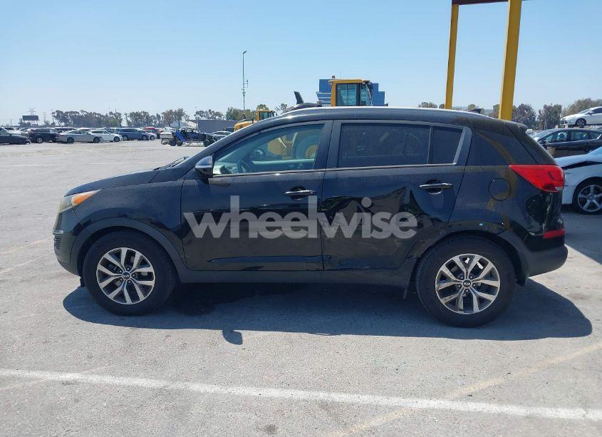 Photo 14 of 2014 Kia Sportage LX (VIN KNDPB3AC6E7613676)