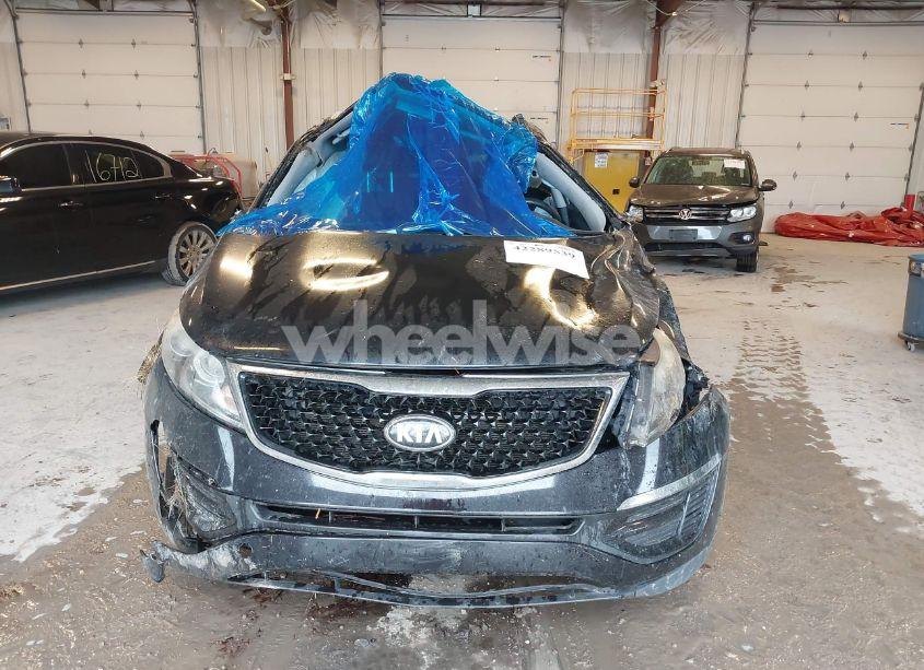 Photo 11 of 2016 Kia Sportage LX (VIN KNDPB3AC6G7827523)
