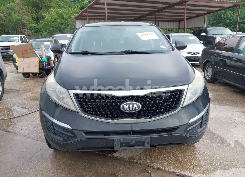 Photo 12 of 2016 Kia Sportage LX (VIN KNDPB3AC9G7838130)