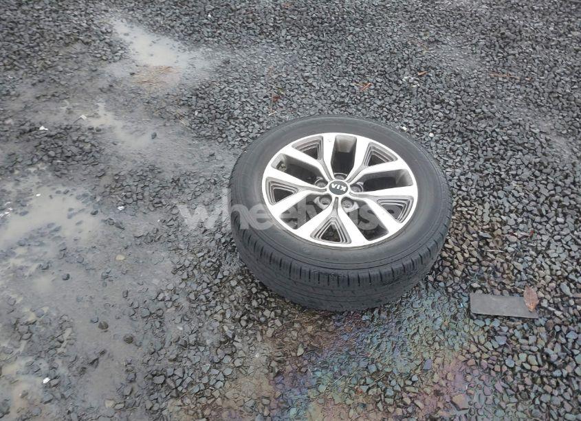 Photo 12 of 2014 Kia Sportage LX (VIN KNDPB3ACXE7568645)