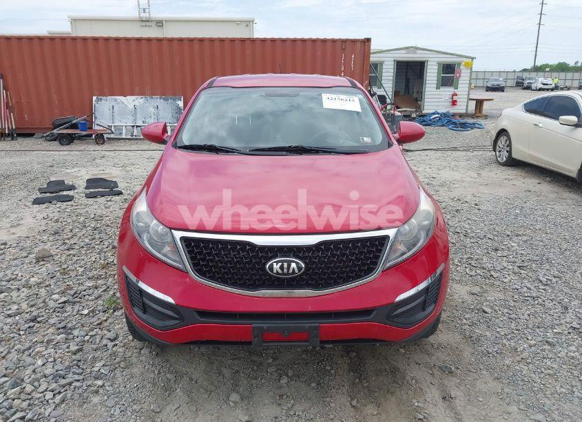 Photo 12 of 2014 Kia Sportage LX (VIN KNDPB3ACXE7638368)