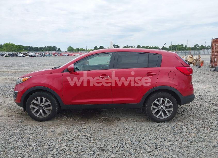 Photo 14 of 2014 Kia Sportage LX (VIN KNDPB3ACXE7638368)