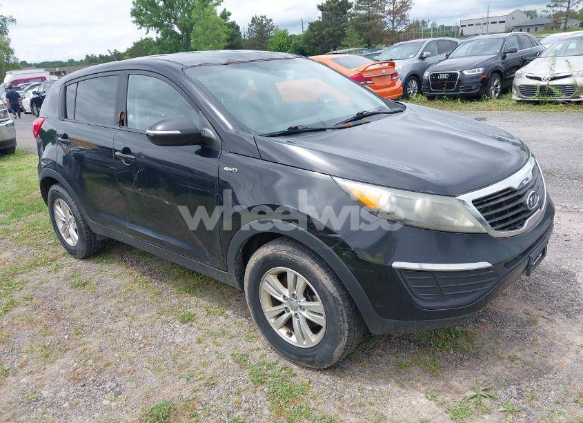 2011 Kia Sportage LX (VIN KNDPBCA27B7081079) main photo