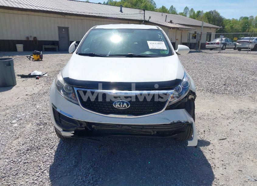 Photo 13 of 2015 Kia Sportage LX (VIN KNDPBCAC2F7738675)