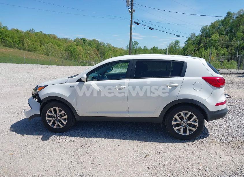 Photo 15 of 2015 Kia Sportage LX (VIN KNDPBCAC2F7738675)