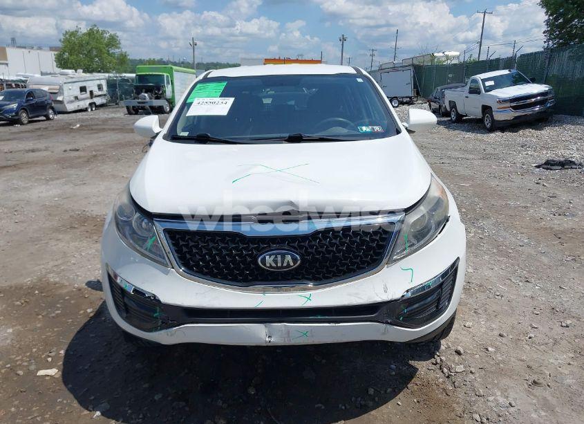 Photo 11 of 2016 Kia Sportage LX (VIN KNDPBCAC2G7864651)