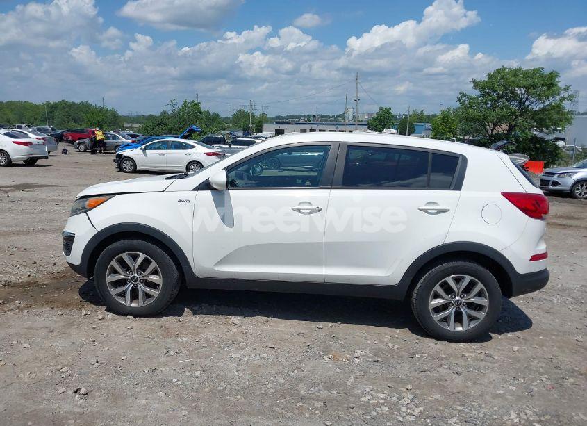 Photo 13 of 2016 Kia Sportage LX (VIN KNDPBCAC2G7864651)