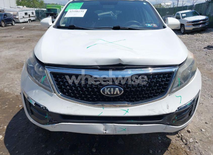 Photo 6 of 2016 Kia Sportage LX (VIN KNDPBCAC2G7864651)