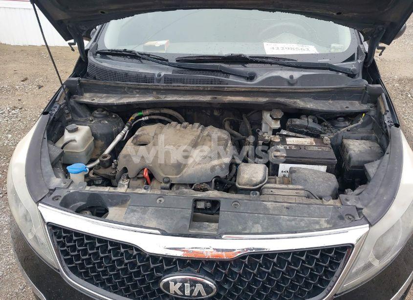 Photo 10 of 2016 Kia Sportage LX (VIN KNDPBCAC5G7807375)