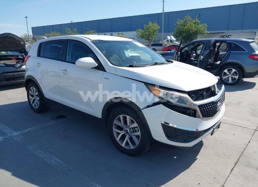 2016 Kia Sportage LX (VIN KNDPBCAC8G7803255) main photo