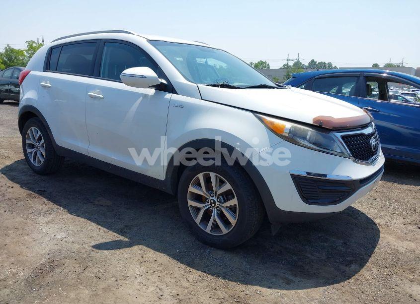 2015 Kia Sportage LX (VIN KNDPBCAC9F7702742) main photo