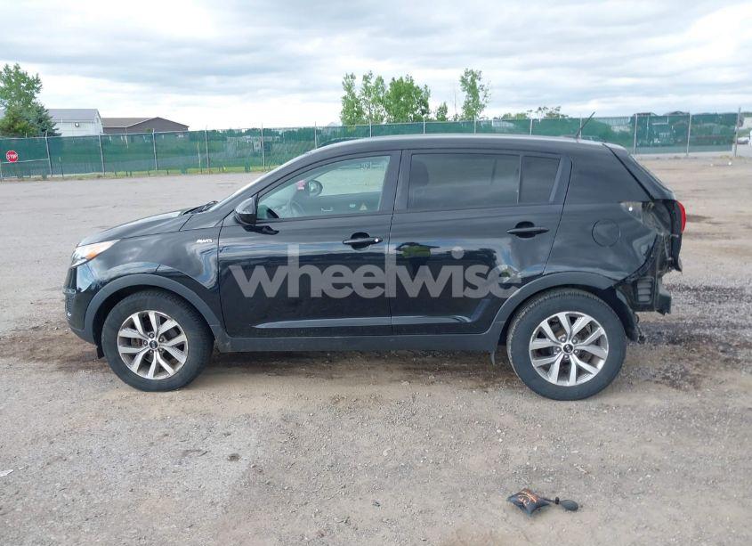 Photo 14 of 2016 Kia Sportage LX (VIN KNDPBCAC9G7863206)