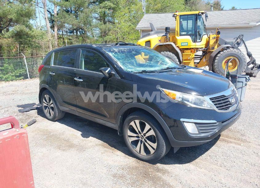 2013 Kia Sportage EX (VIN KNDPC3A20D7438621) main photo