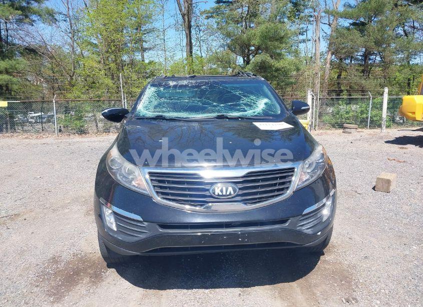 Photo 12 of 2013 Kia Sportage EX (VIN KNDPC3A20D7438621)