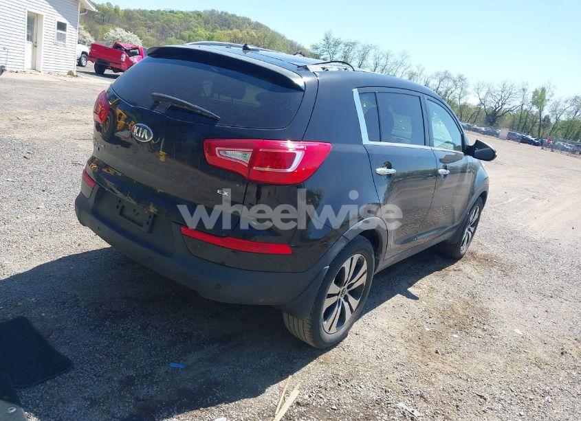 Photo 4 of 2013 Kia Sportage EX (VIN KNDPC3A20D7438621)