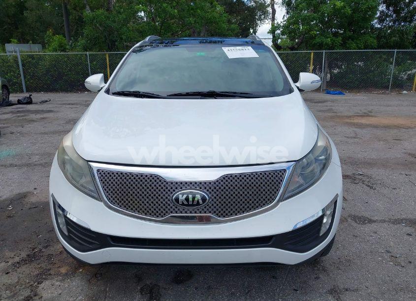 Photo 12 of 2013 Kia Sportage EX (VIN KNDPC3A21D7528487)