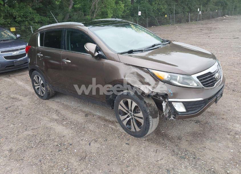 2013 Kia Sportage EX (VIN KNDPC3A28D7449821) main photo