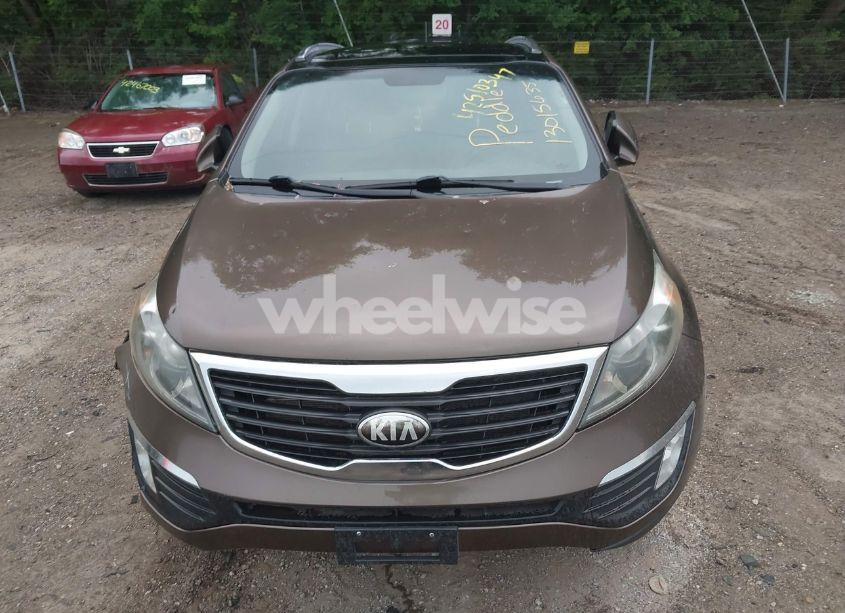 Photo 12 of 2013 Kia Sportage EX (VIN KNDPC3A28D7449821)