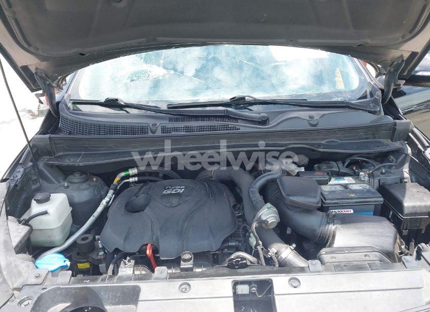 Photo 10 of 2014 Kia Sportage SX (VIN KNDPC3A66E7585269)