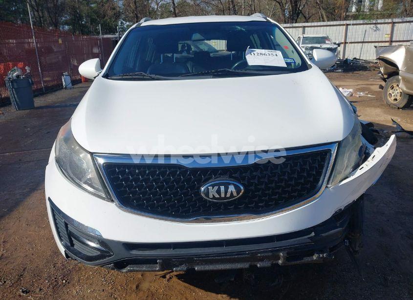 Photo 13 of 2016 Kia Sportage EX (VIN KNDPC3AC5G7868190)