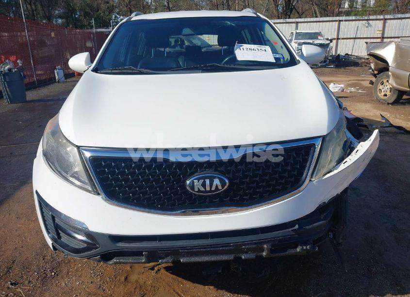 Photo 6 of 2016 Kia Sportage EX (VIN KNDPC3AC5G7868190)