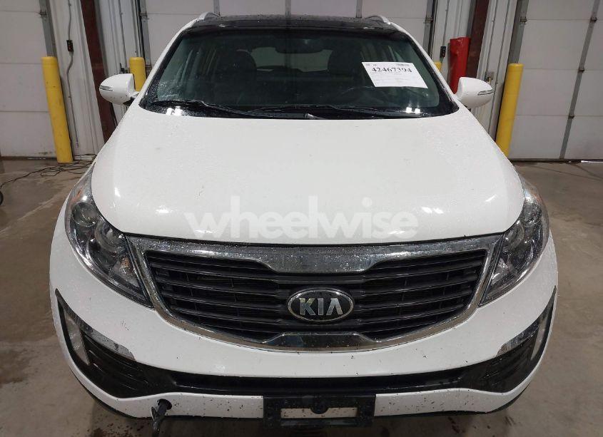 Photo 12 of 2013 Kia Sportage EX (VIN KNDPCCA28D7460687)