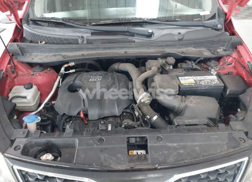 Photo 10 of 2013 Kia Sportage SX (VIN KNDPCCA6XD7495170)